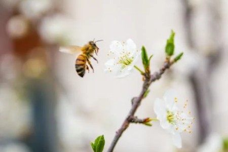 娛樂熱點(diǎn)事件文章征稿令