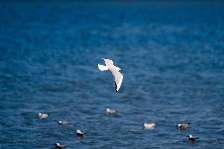 经典影视剧、热门影视剧剧评征稿令