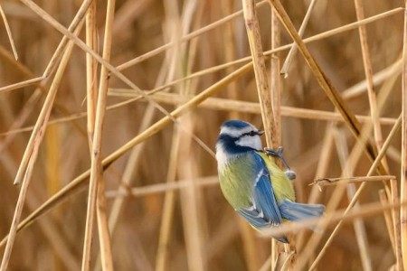 经典影视剧、热门影视剧剧评征稿令