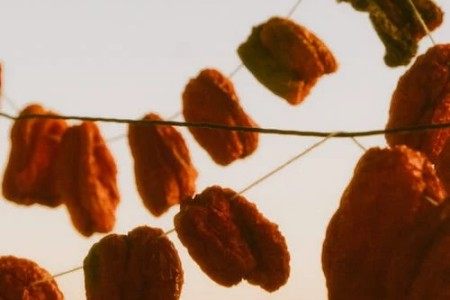 仿写对标账号短视频脚本文案征稿令